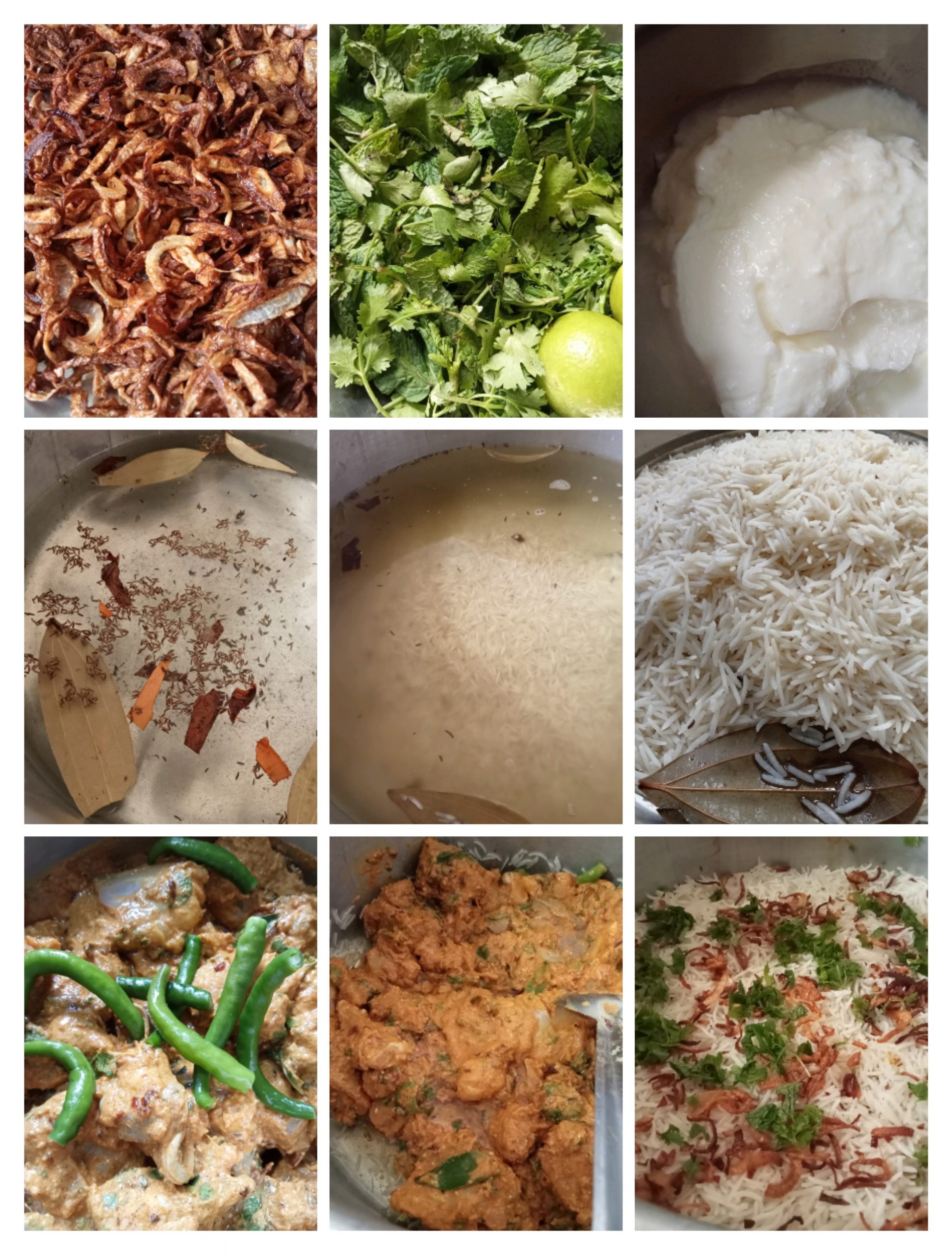 Hyderbadi Dum Biryani