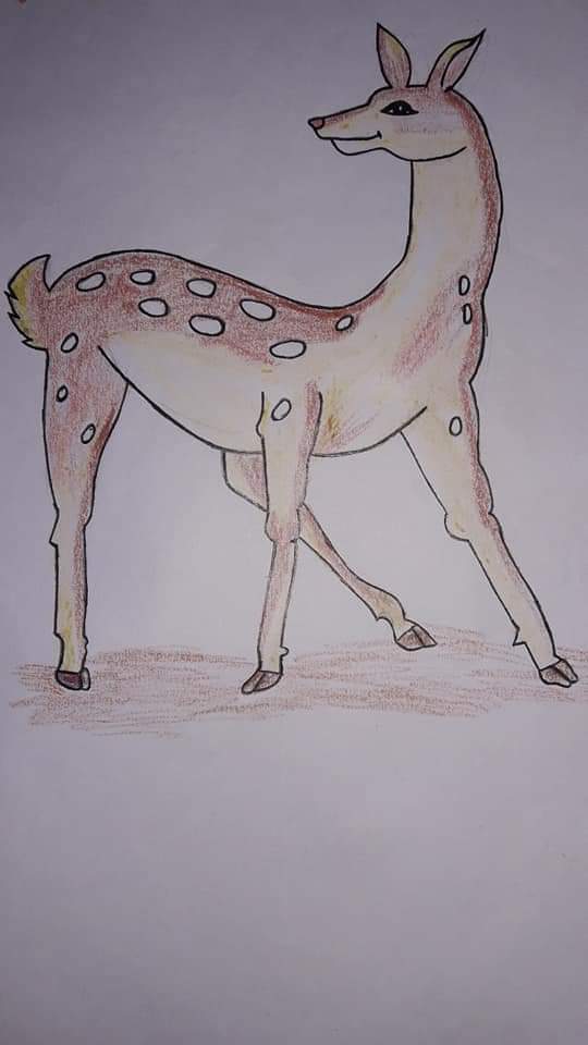 Peaceful Deer
