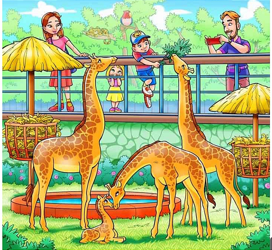 CAN YOU SOLVE THIS OPTICAL ILLUSION FAST?