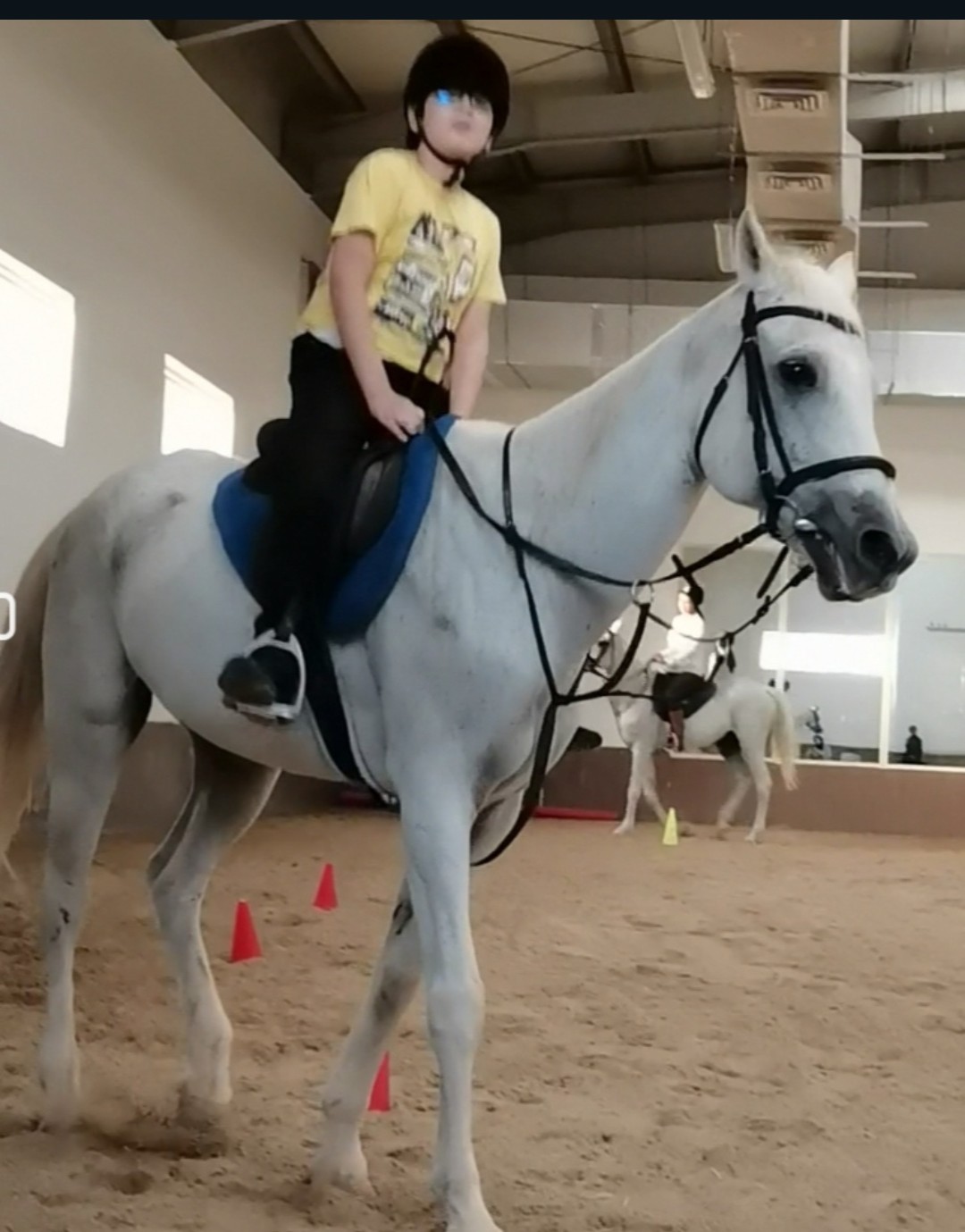 Excelling in Horse Riding Competition