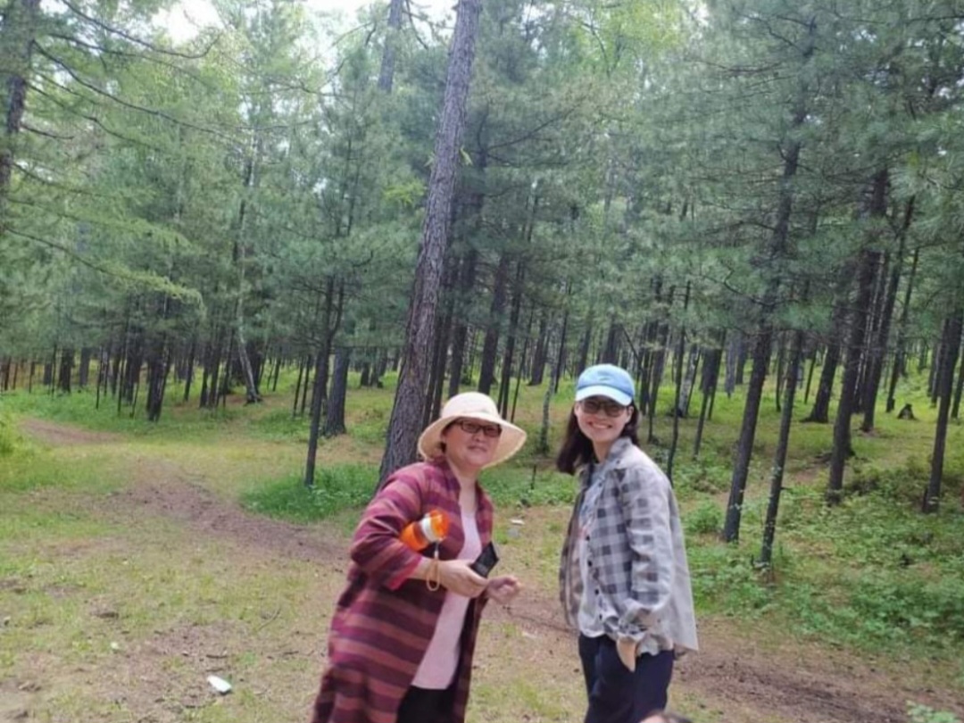 Мөрөөдөлдөө хүрэх эхний алхам.