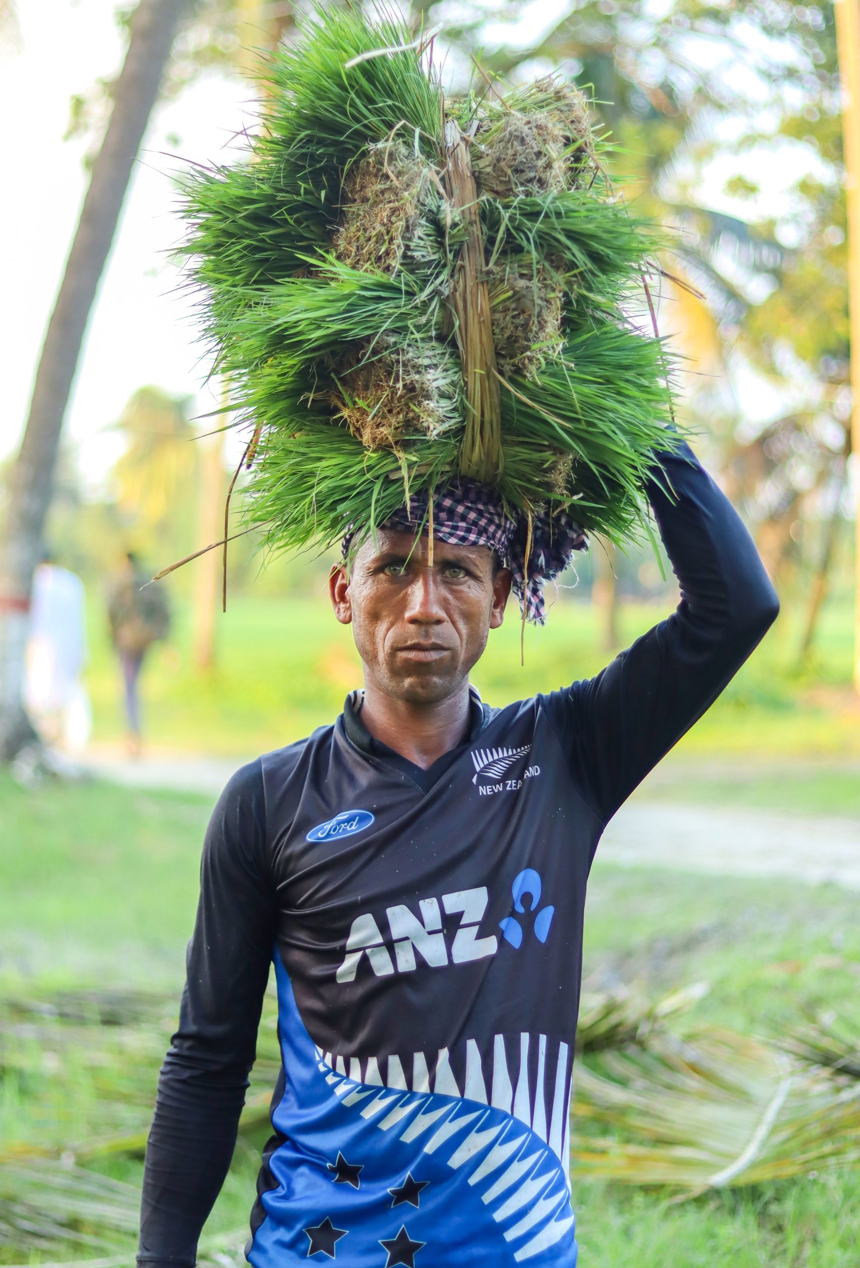 A farmer carries several rice seedlings