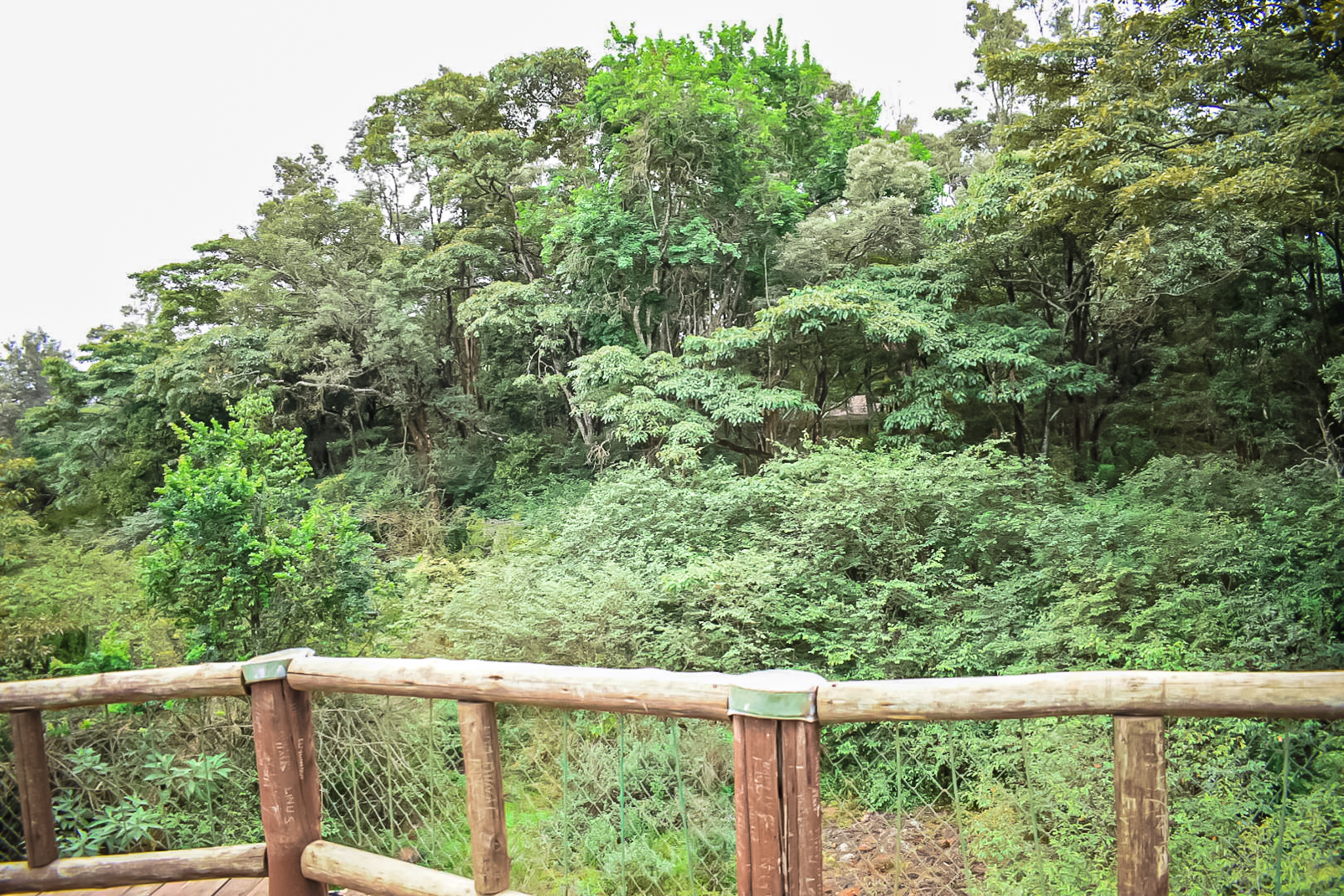 Nairobi Safari Walk
