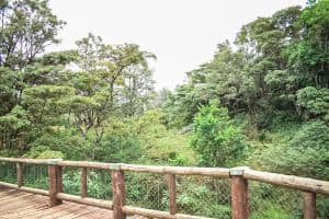 Nairobi Safari Walk