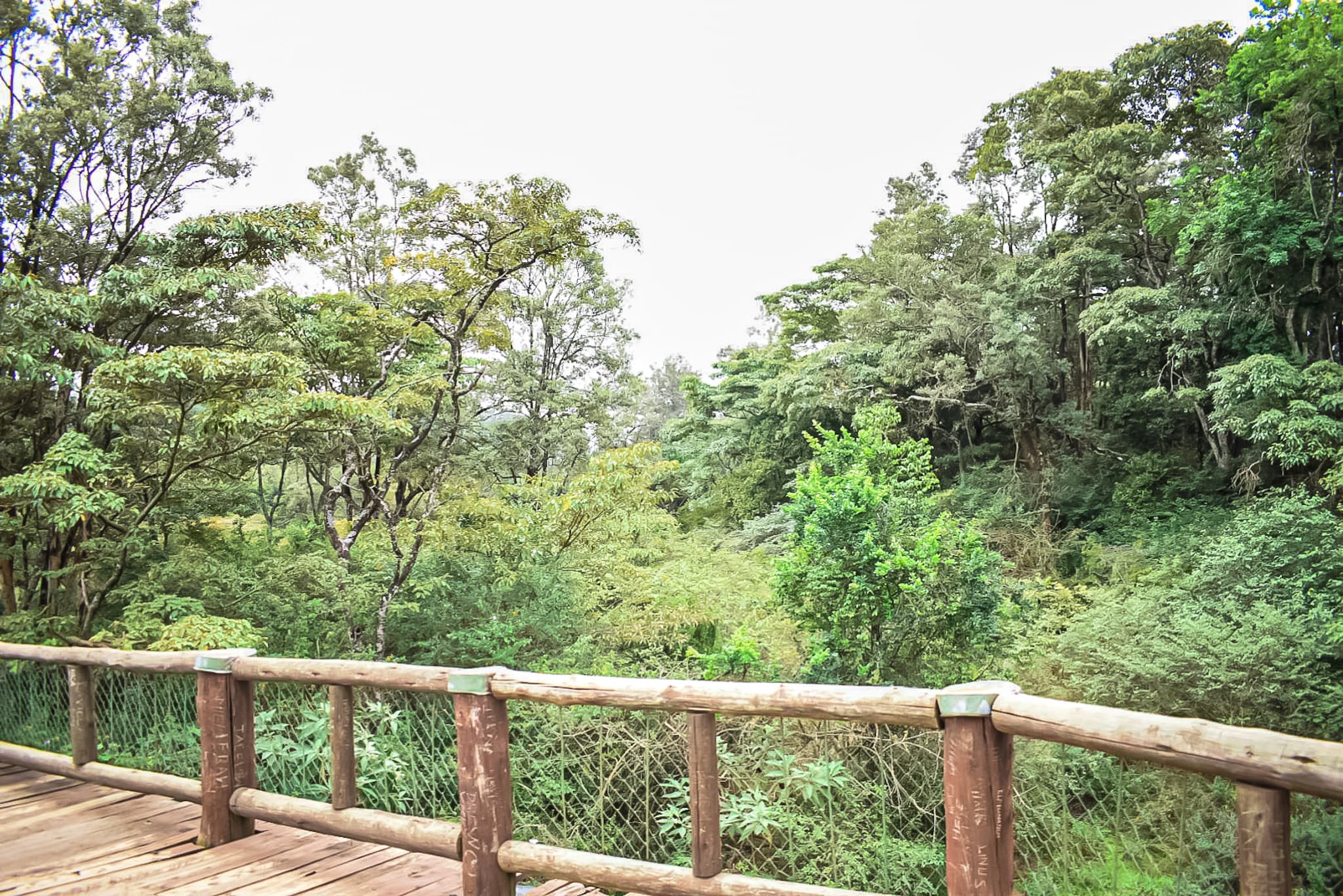 Nairobi Safari Walk