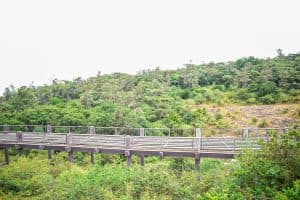 Nairobi Safari Walk