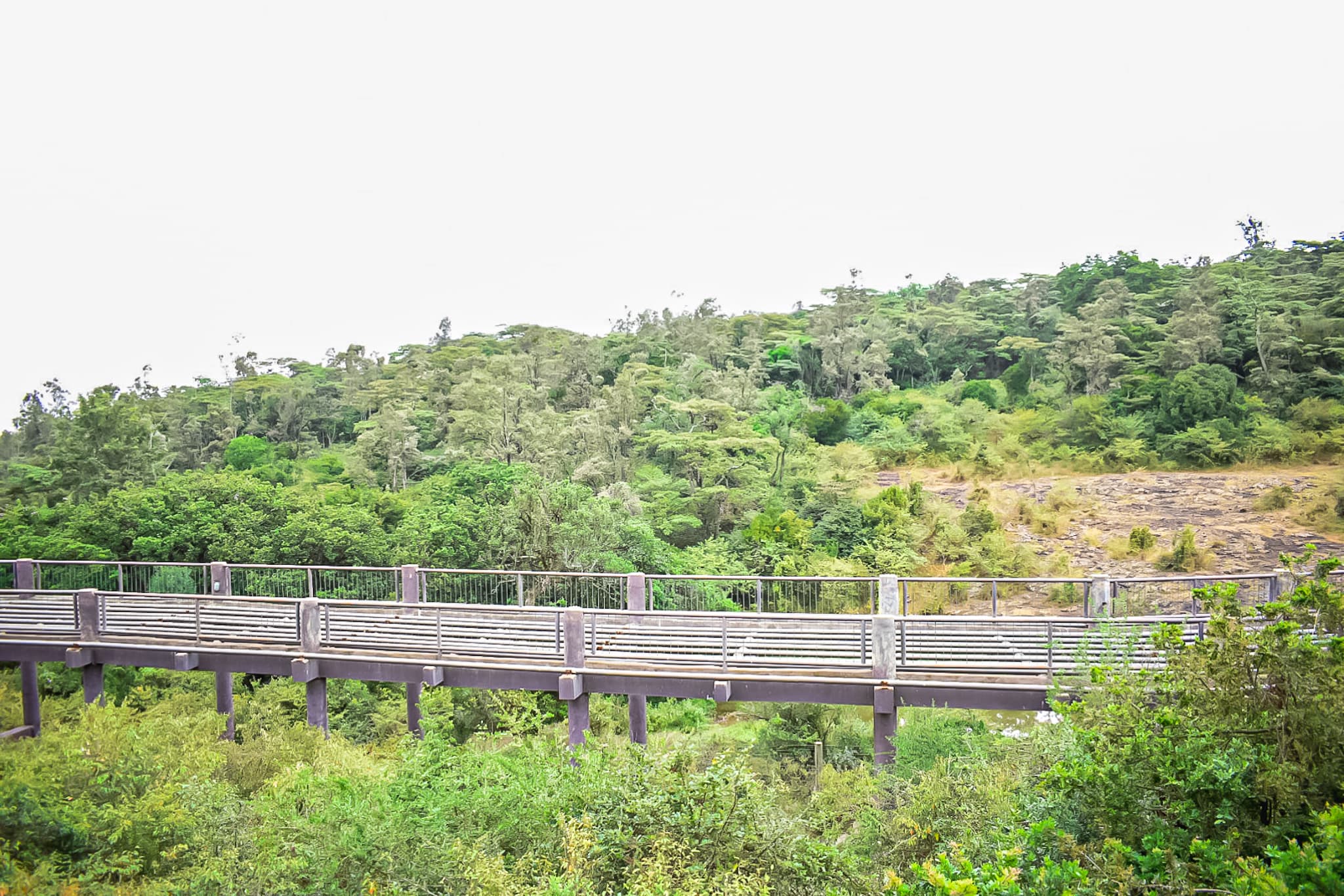 Nairobi Safari Walk