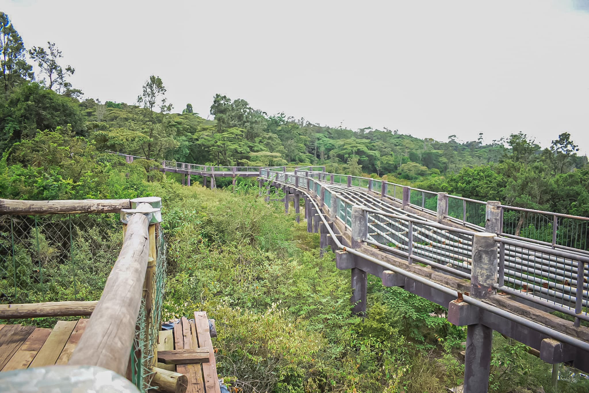 Nairobi Safari Walk