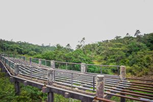 Nairobi Safari Walk