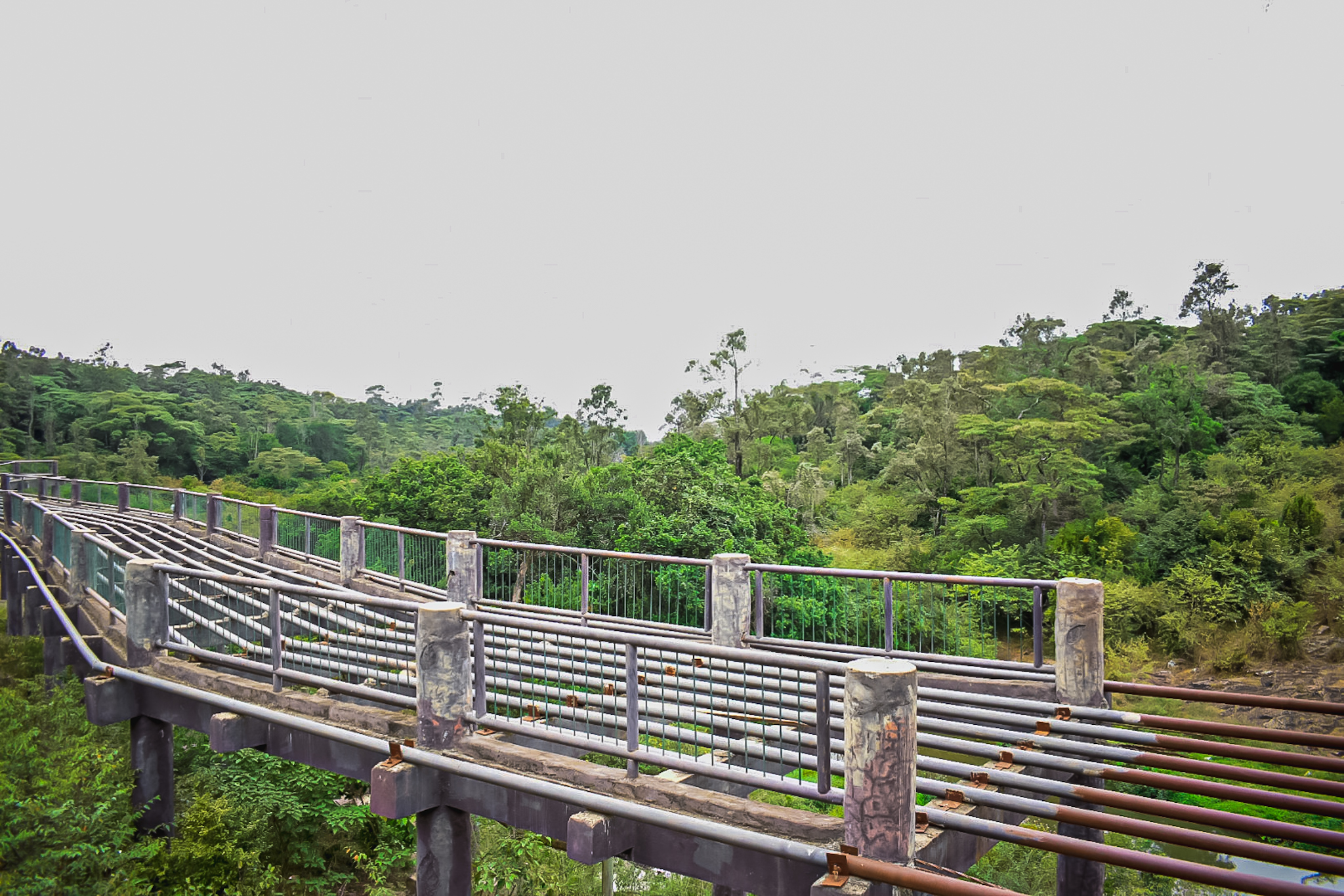 Nairobi Safari Walk