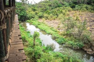 Nairobi Safari Walk