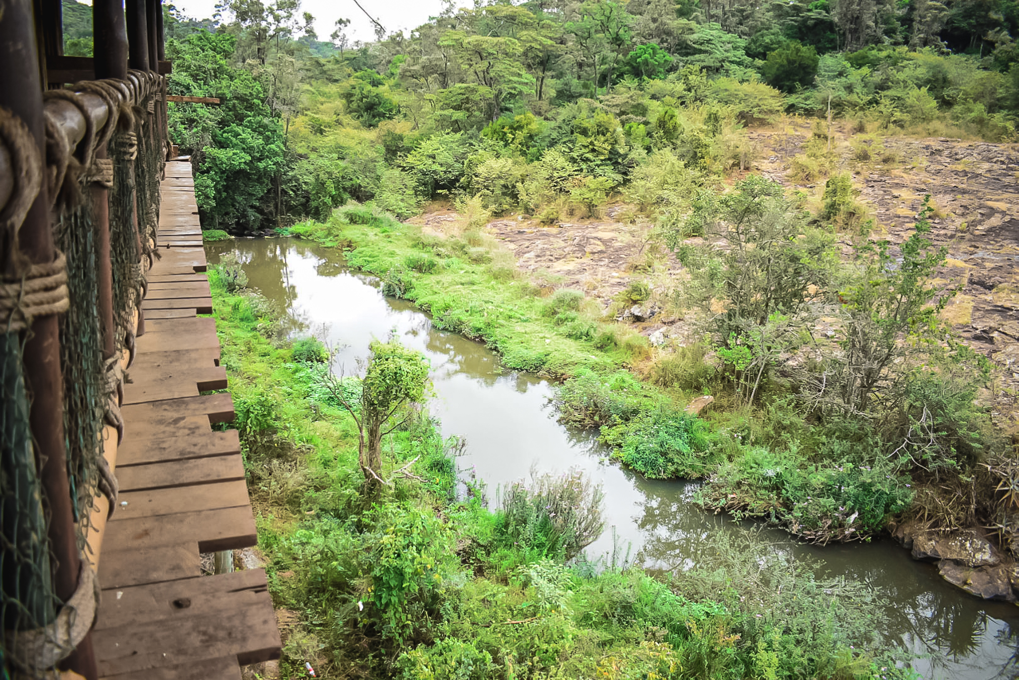 Nairobi Safari Walk