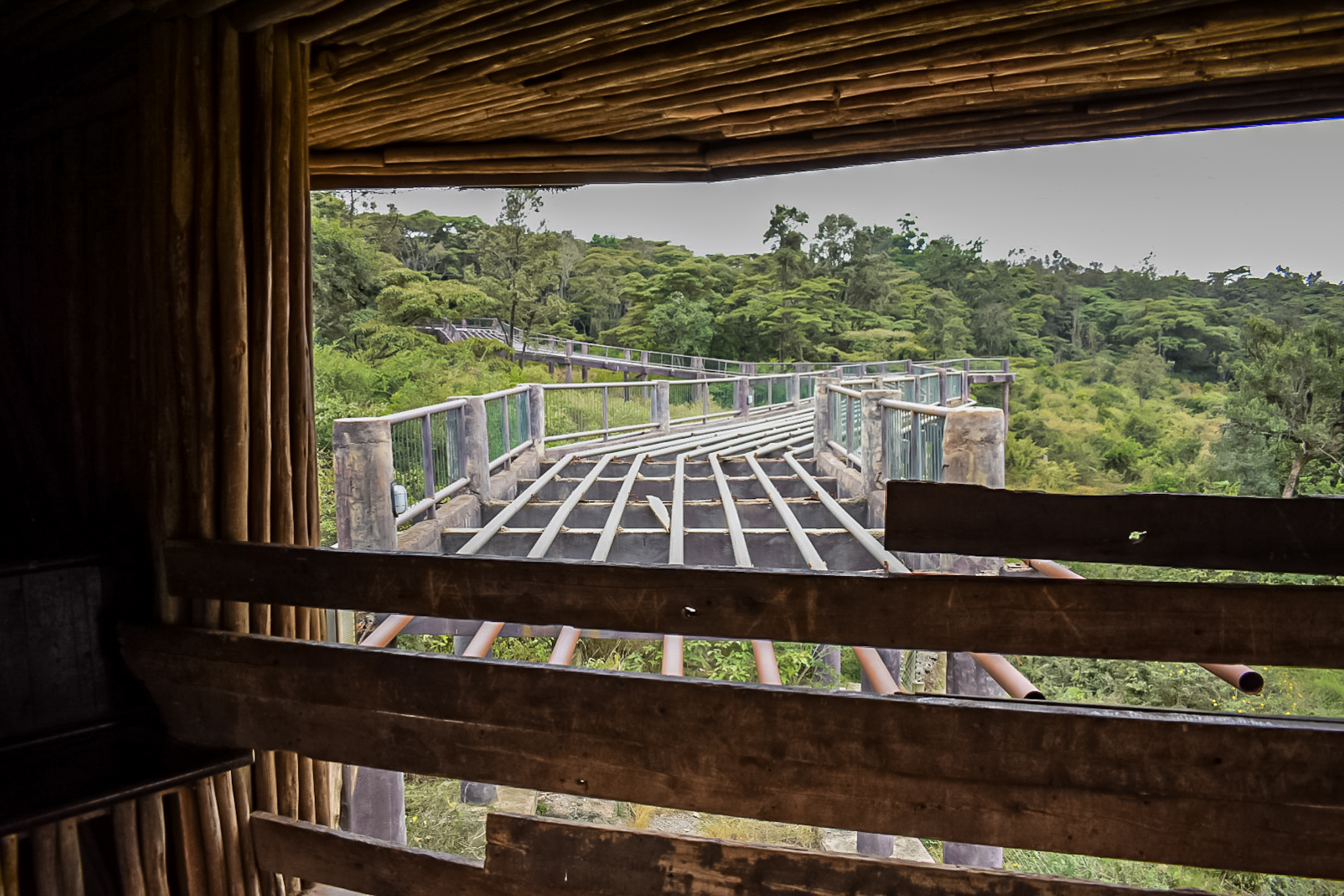 Nairobi Safari Walk