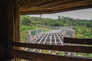 Nairobi Safari Walk