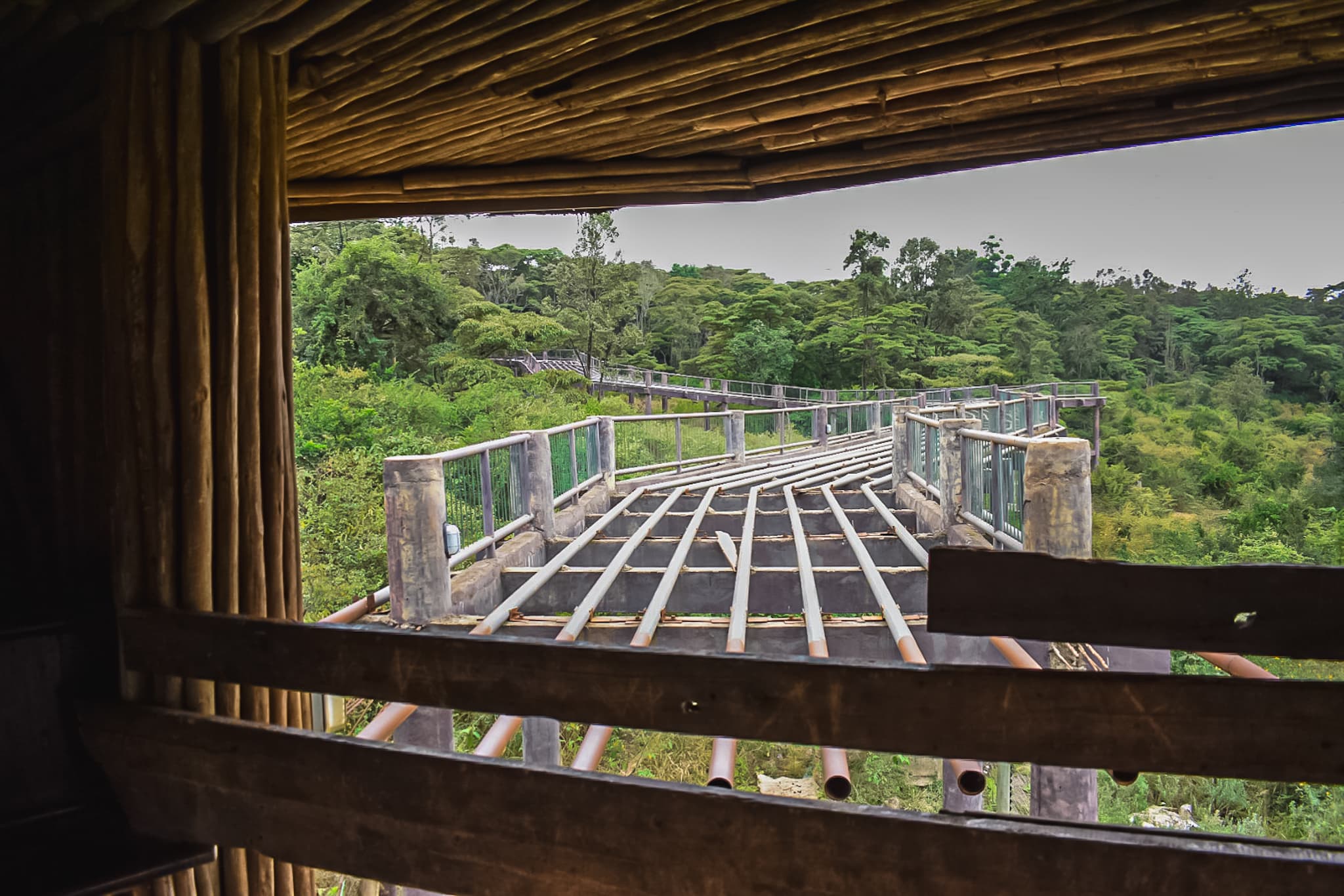 Nairobi Safari Walk