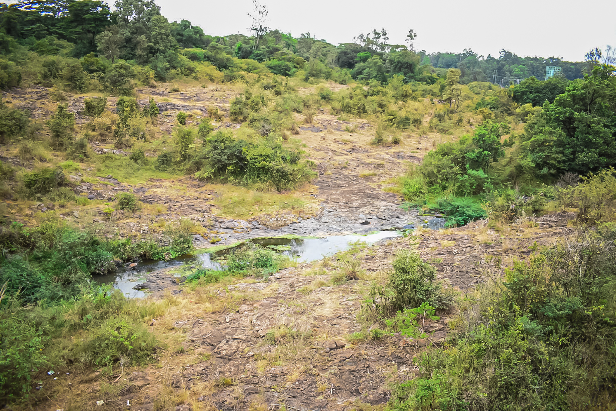 Nairobi Safari Walk