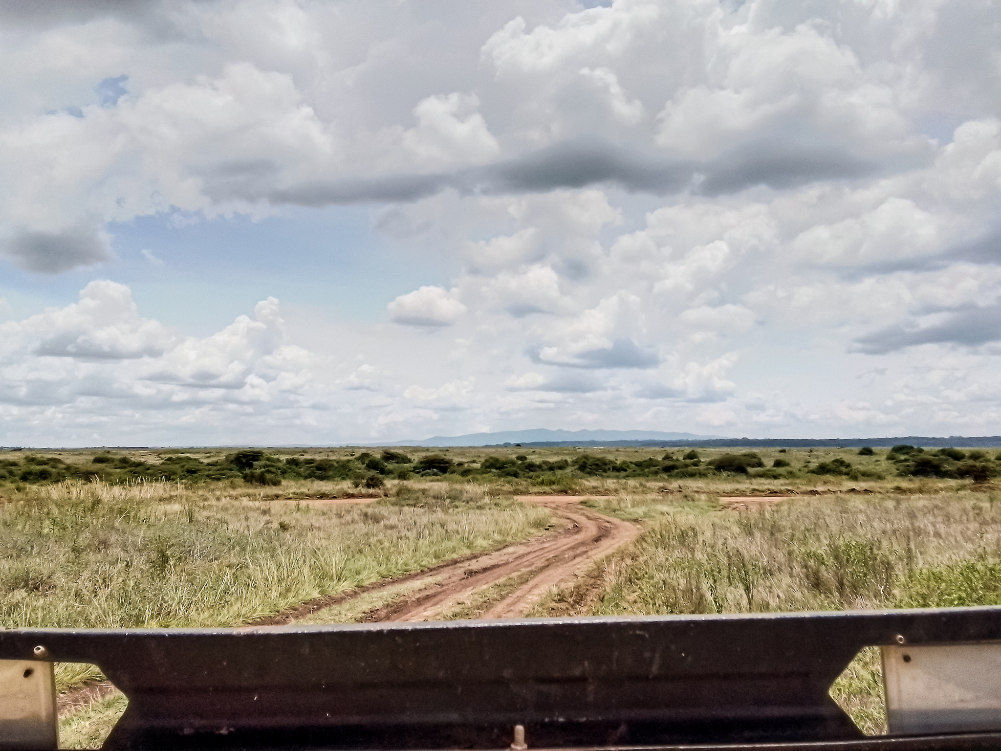 Nairobi National Park