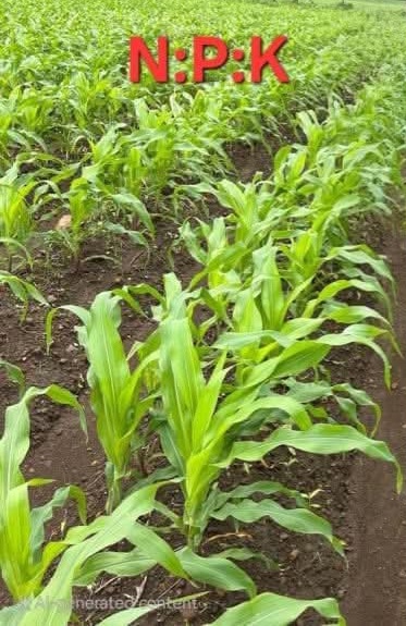 NPK