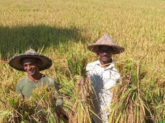 Sustainable Agriculture