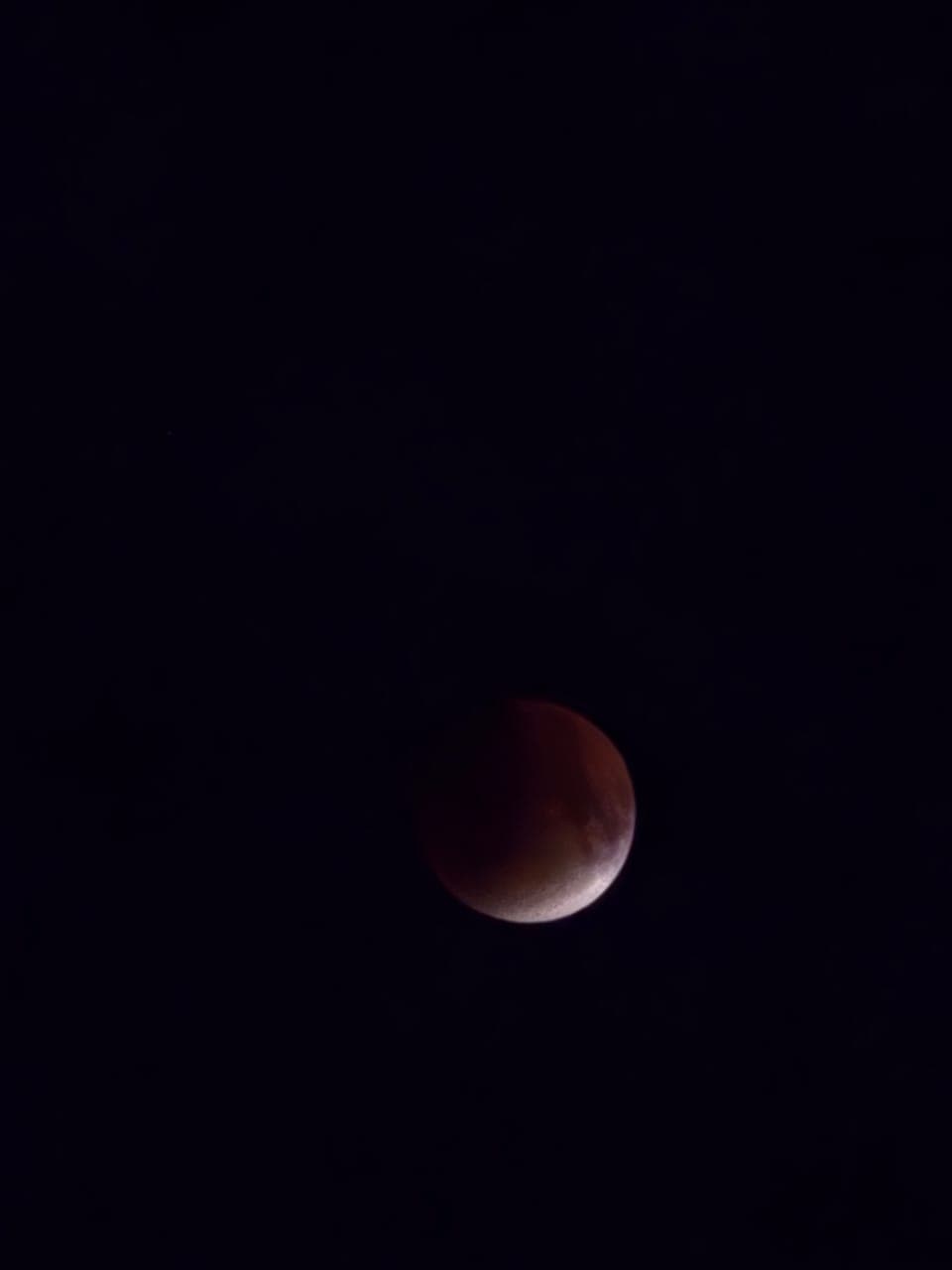 “When shadows drink the moonlight, she bleeds red”