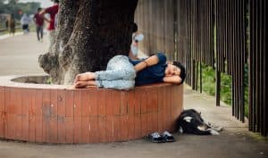 A Quiet Rest Beneath the City Tree