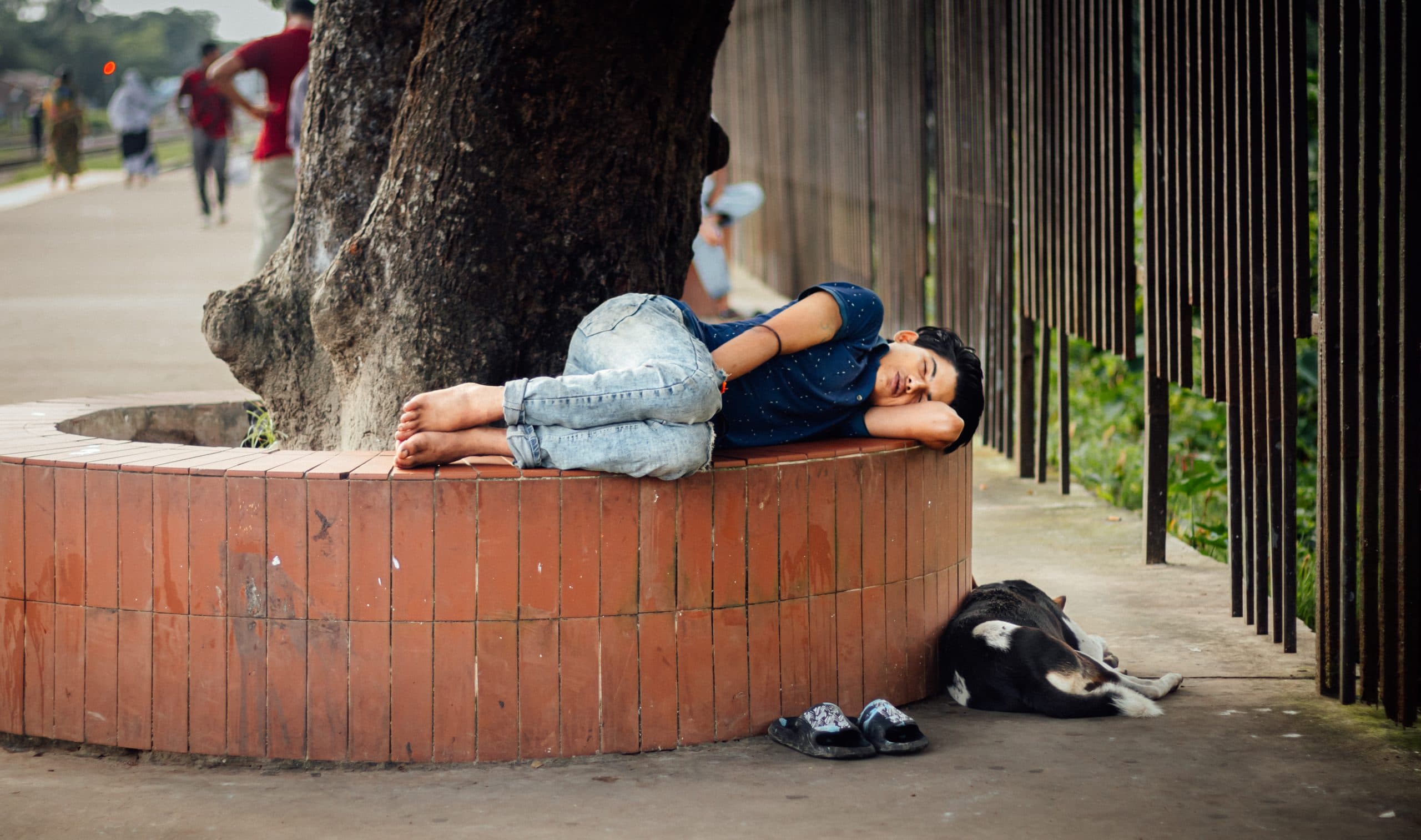A Quiet Rest Beneath the City Tree
