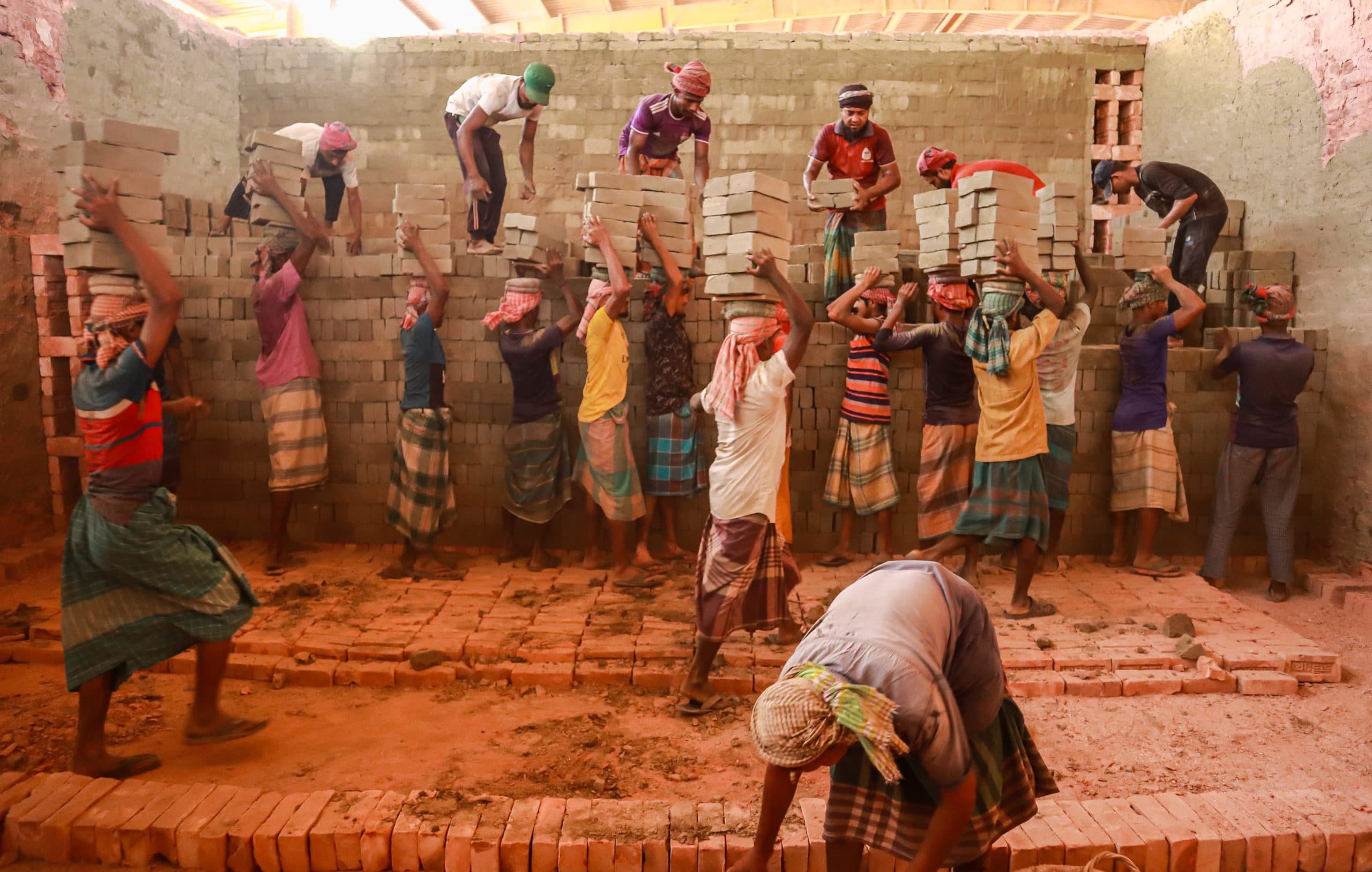 Life and livelihood