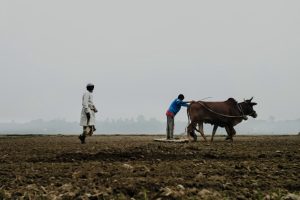Rural life