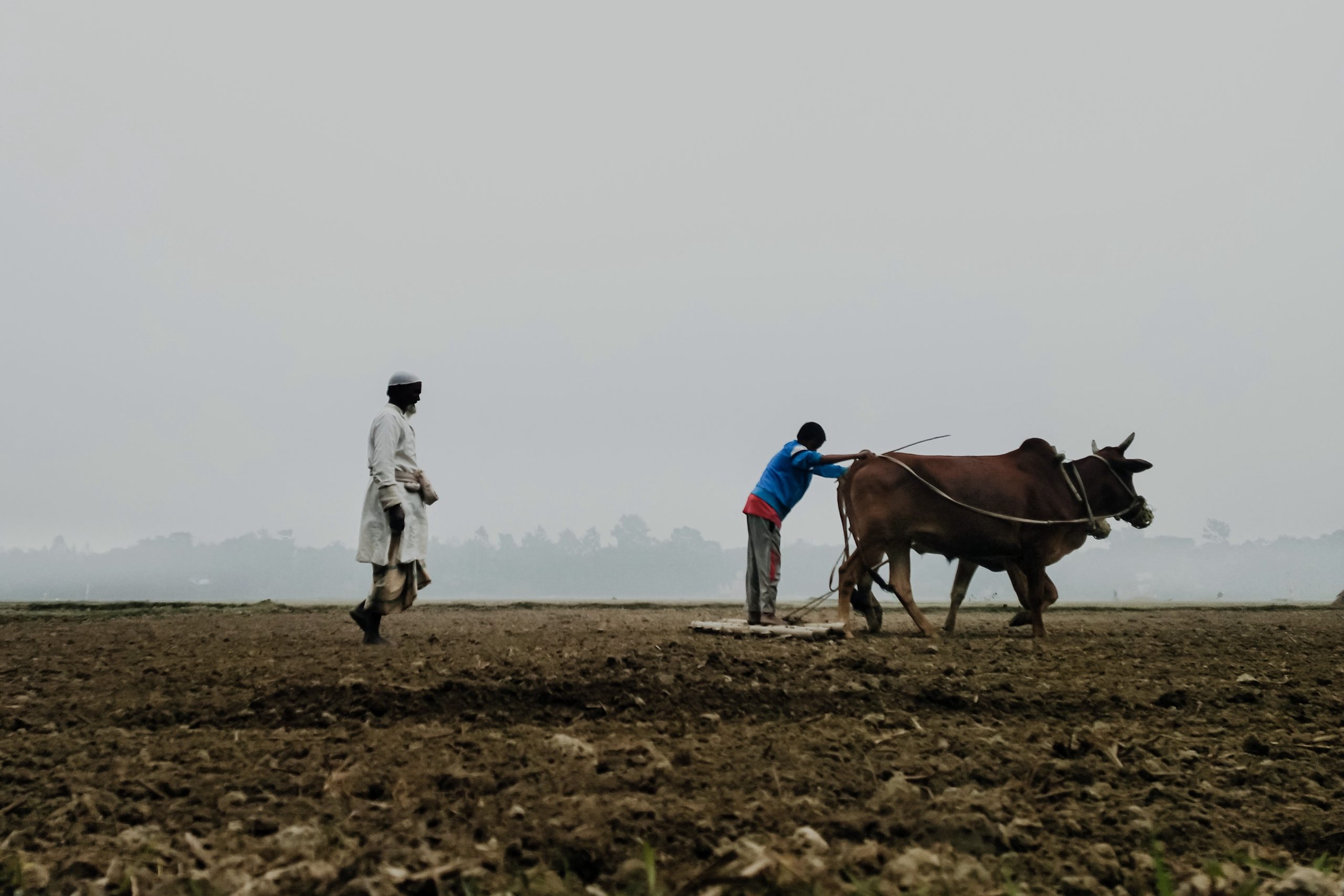 Rural life
