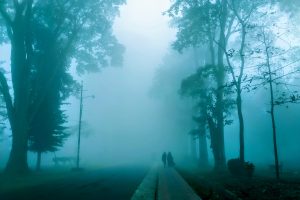 Morning walk