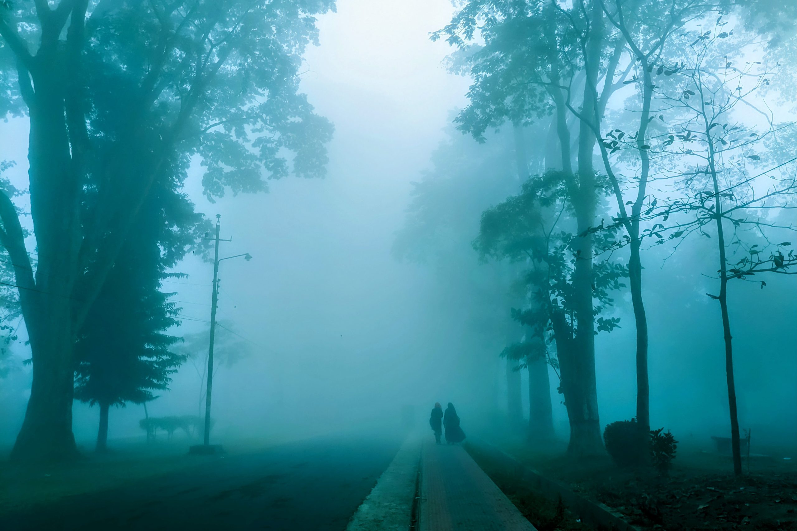 Morning walk