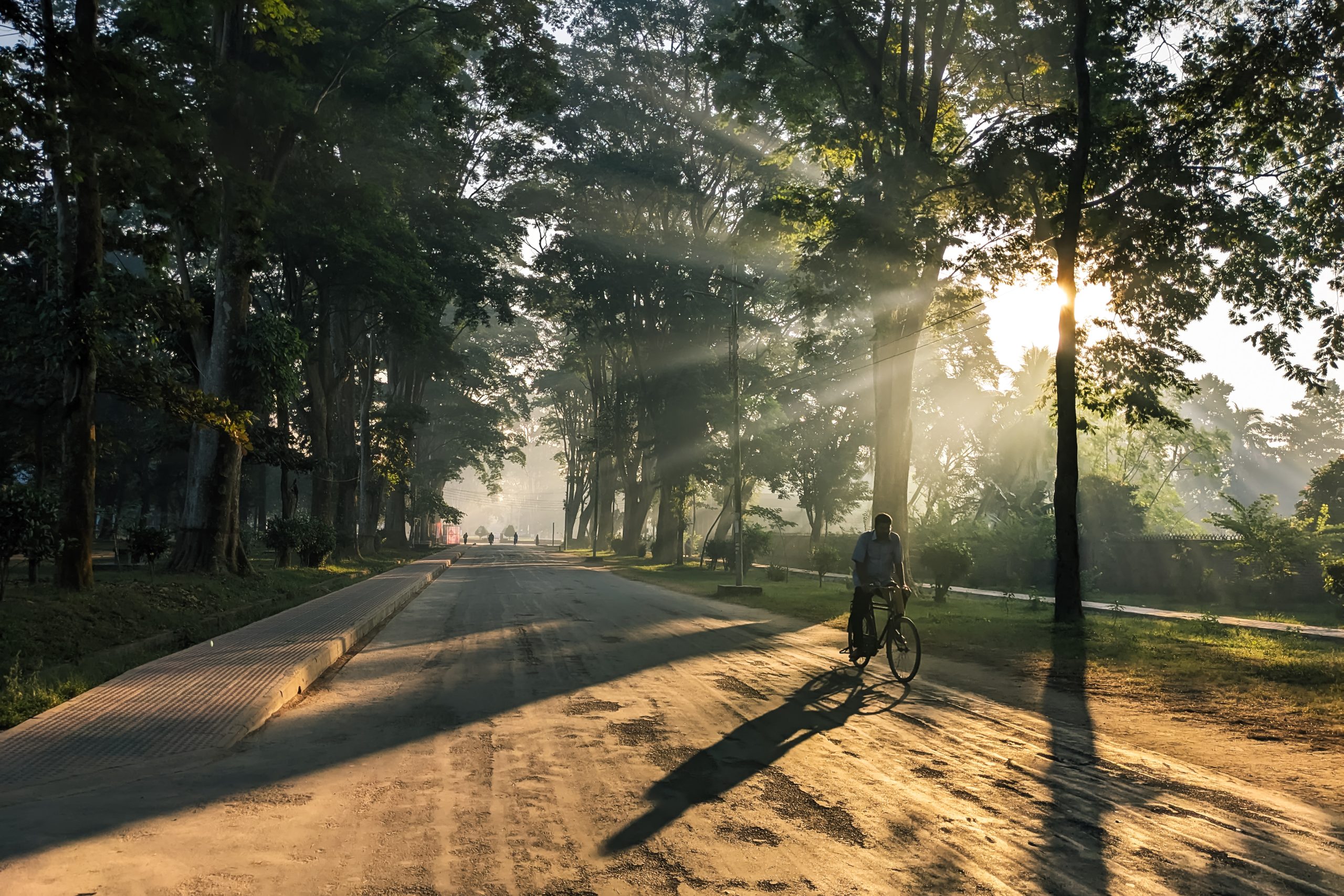 Morning light