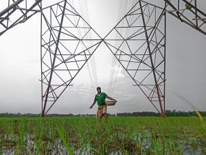 Hard working farmer.