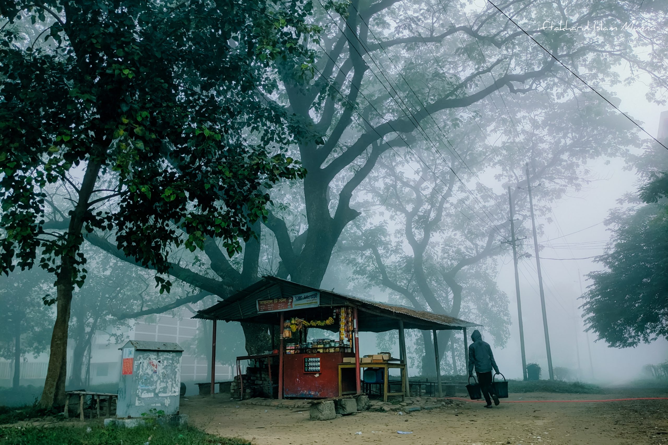 Beautiful winter morning from 2026