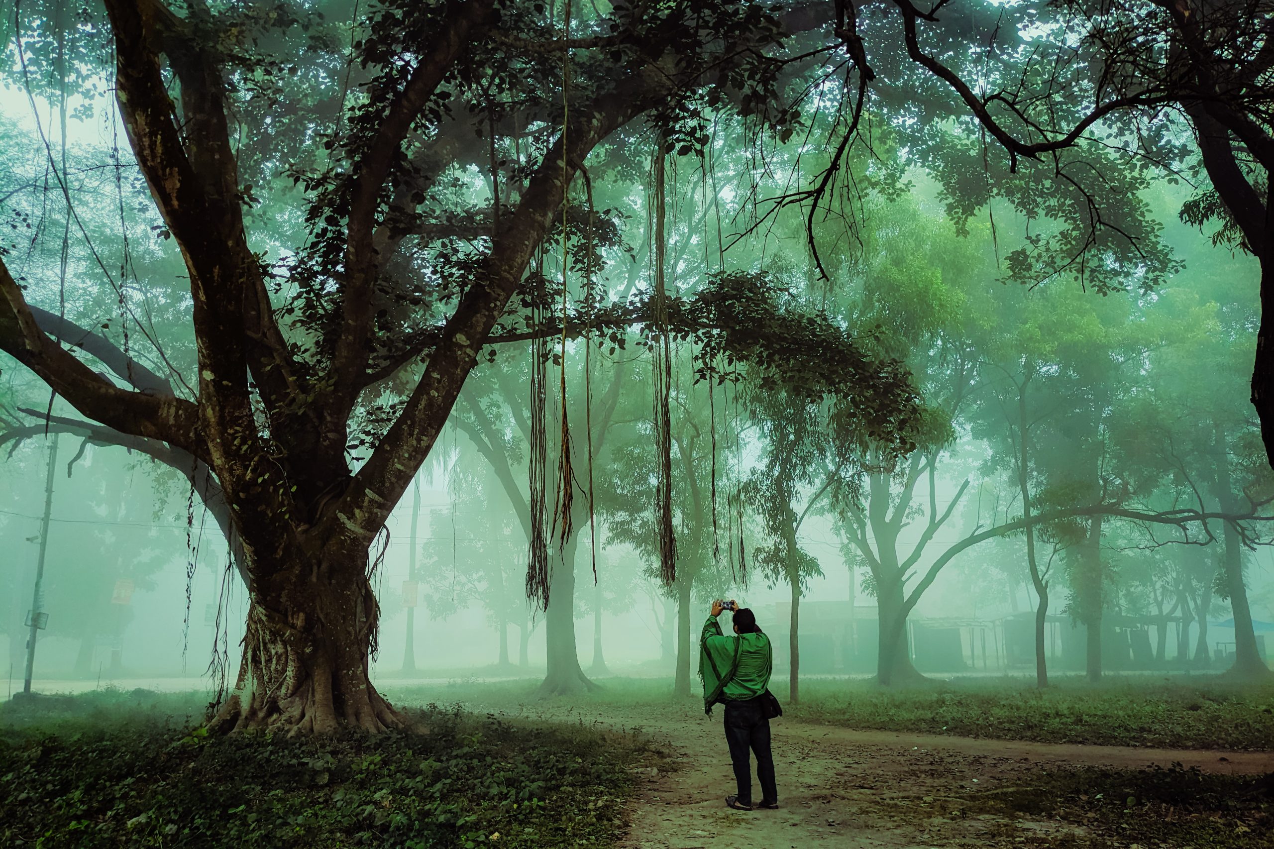 How to take a good photo 📸 