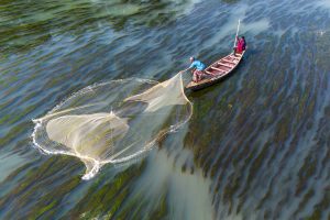 fishing