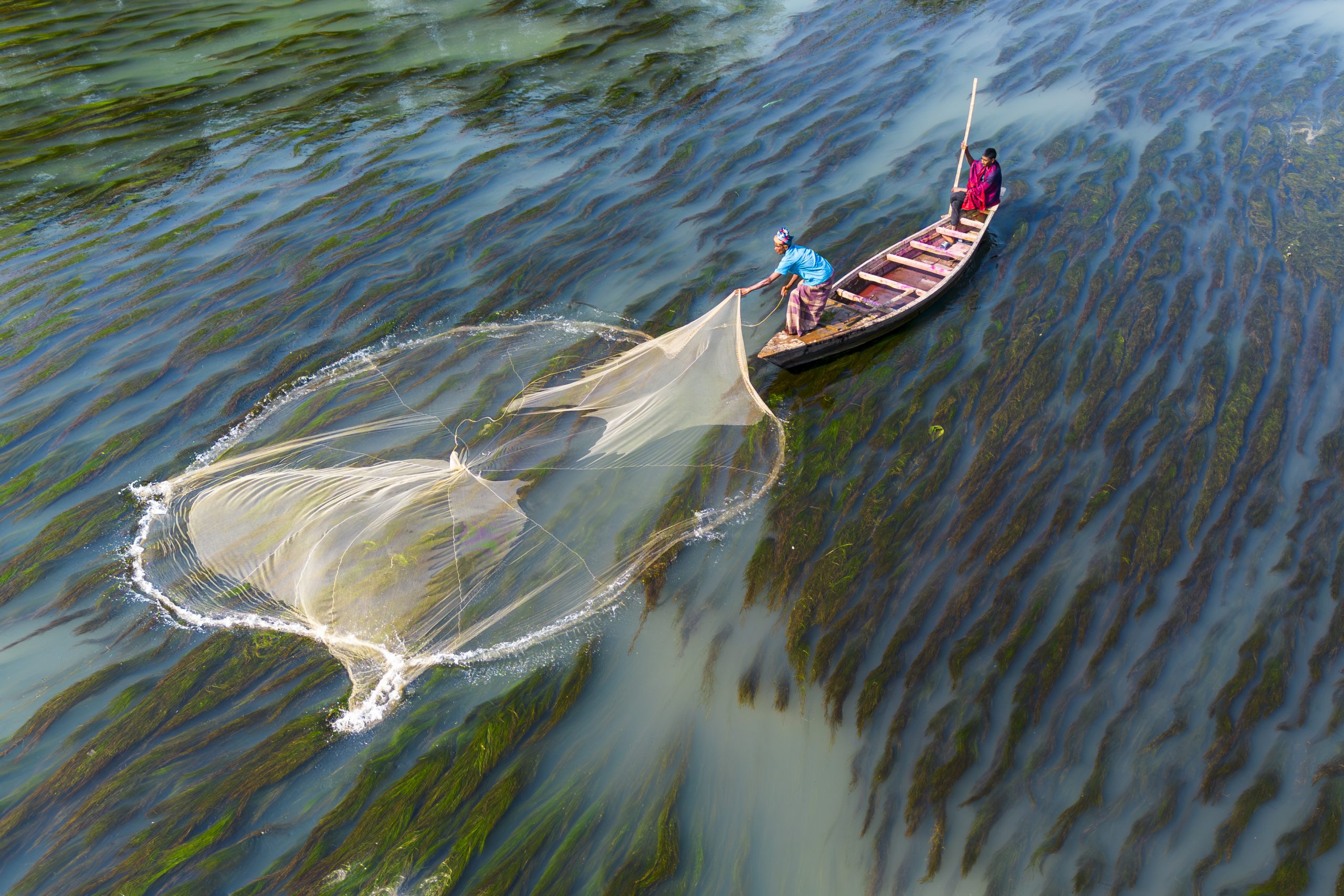fishing