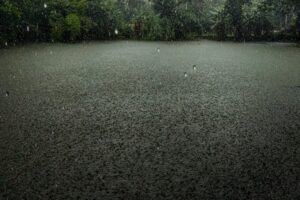 Rain