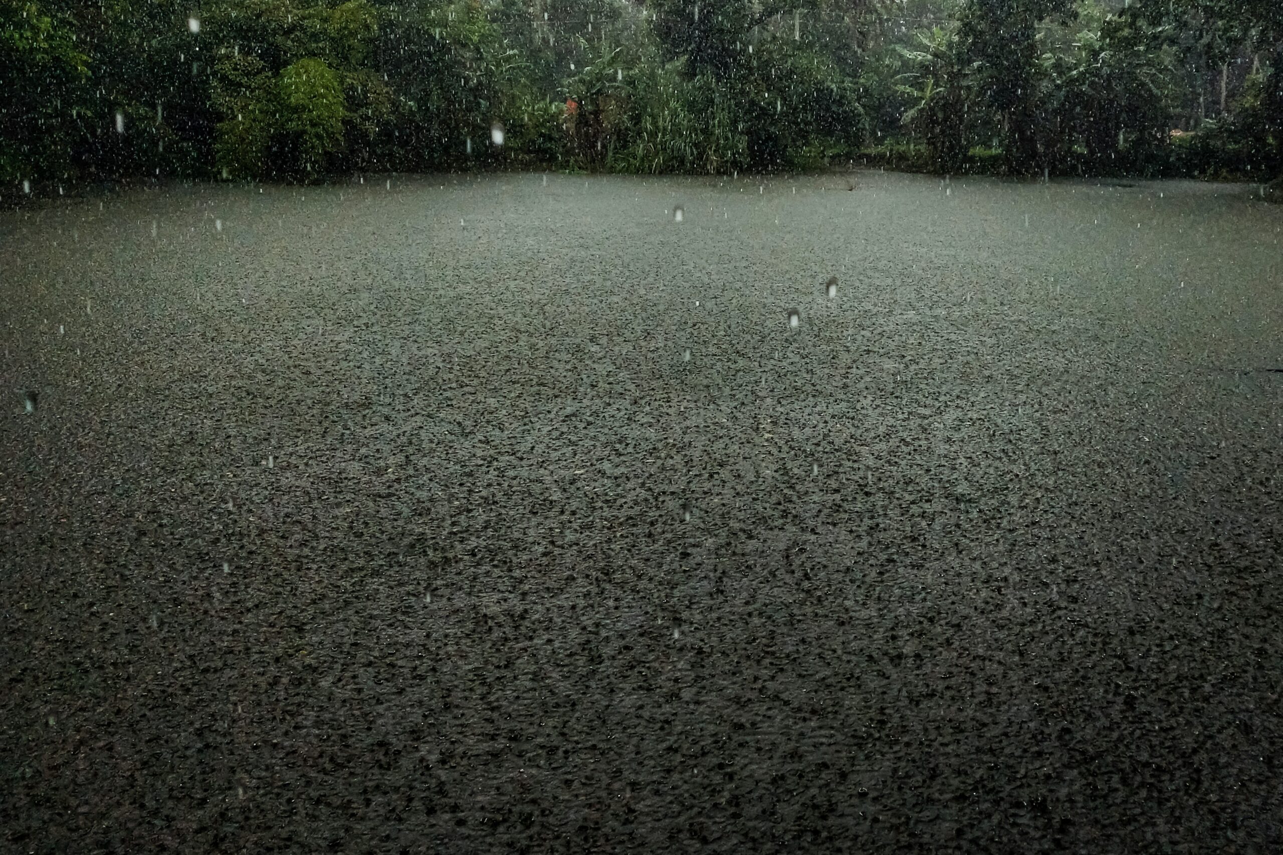 Rain