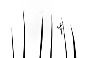 Tiny climber