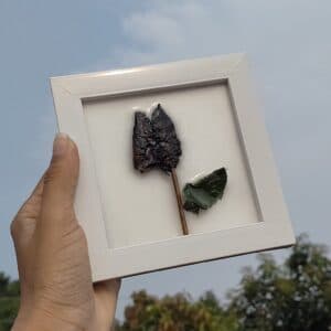 Rose preservation Frame