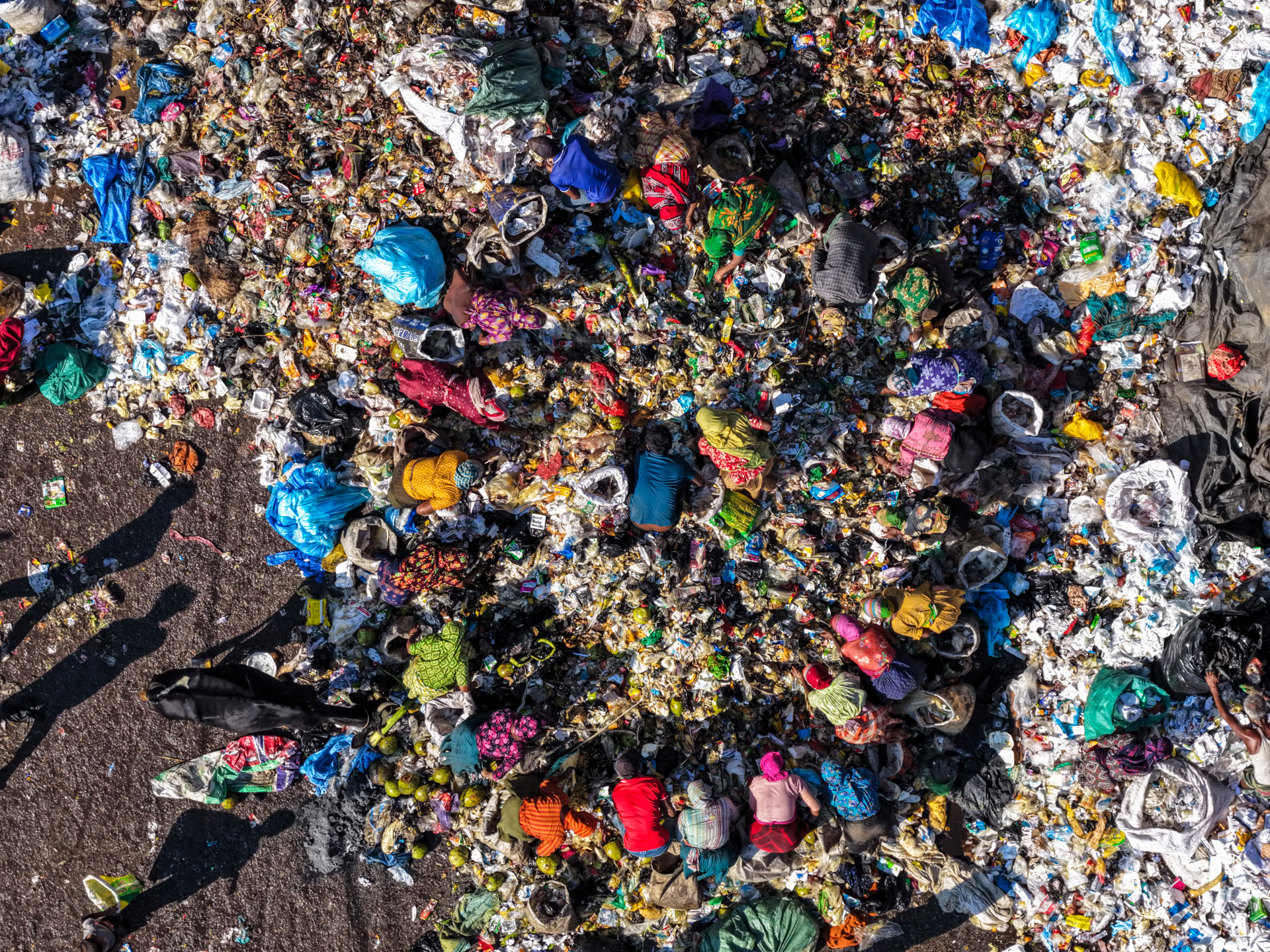 Survival in Waste