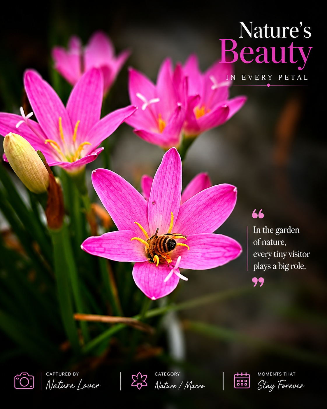 Blossom bee