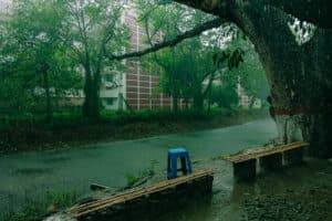 A lonely rainy day