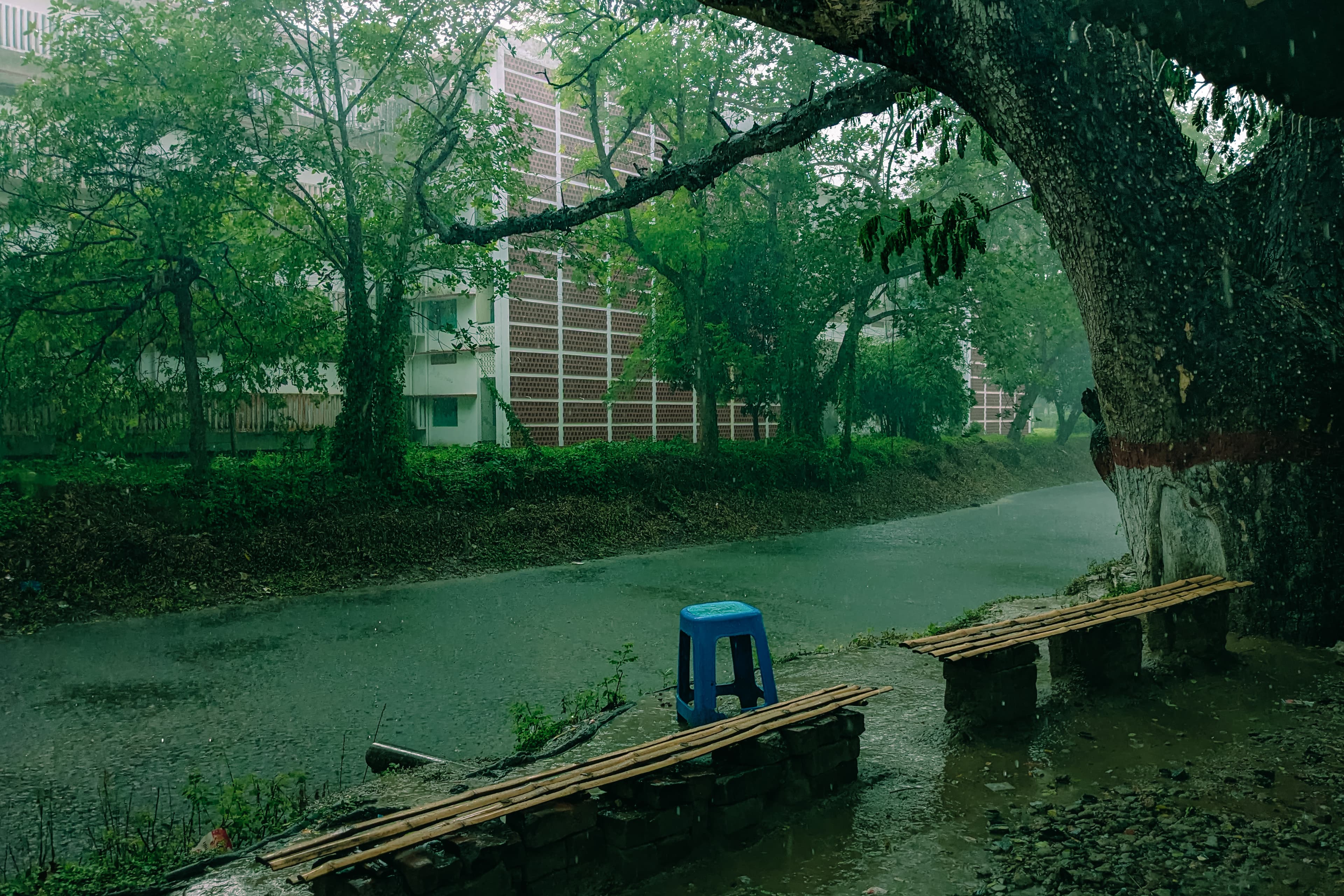 A lonely rainy day