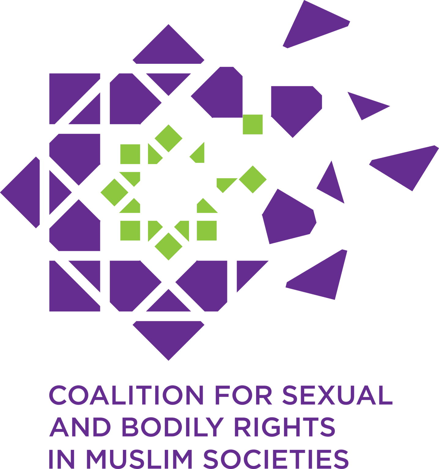Coalition for Sexual and Bodily Rights website