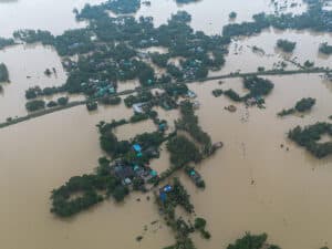Lives Under Water