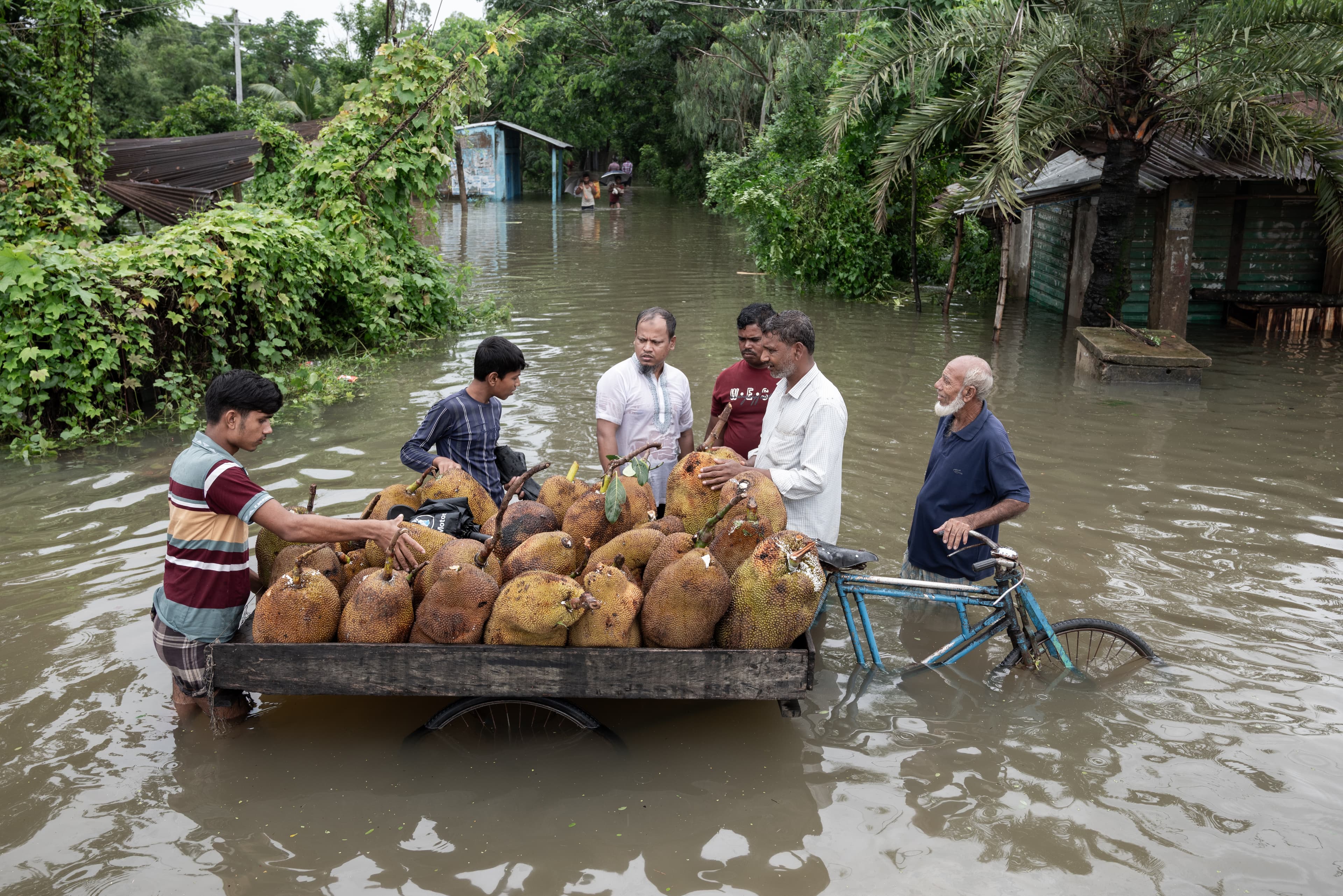 Flooded Lives