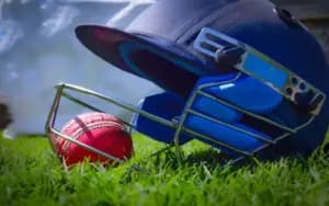 DOERS – Cricket | Signature Offerings Set Up Guidelines