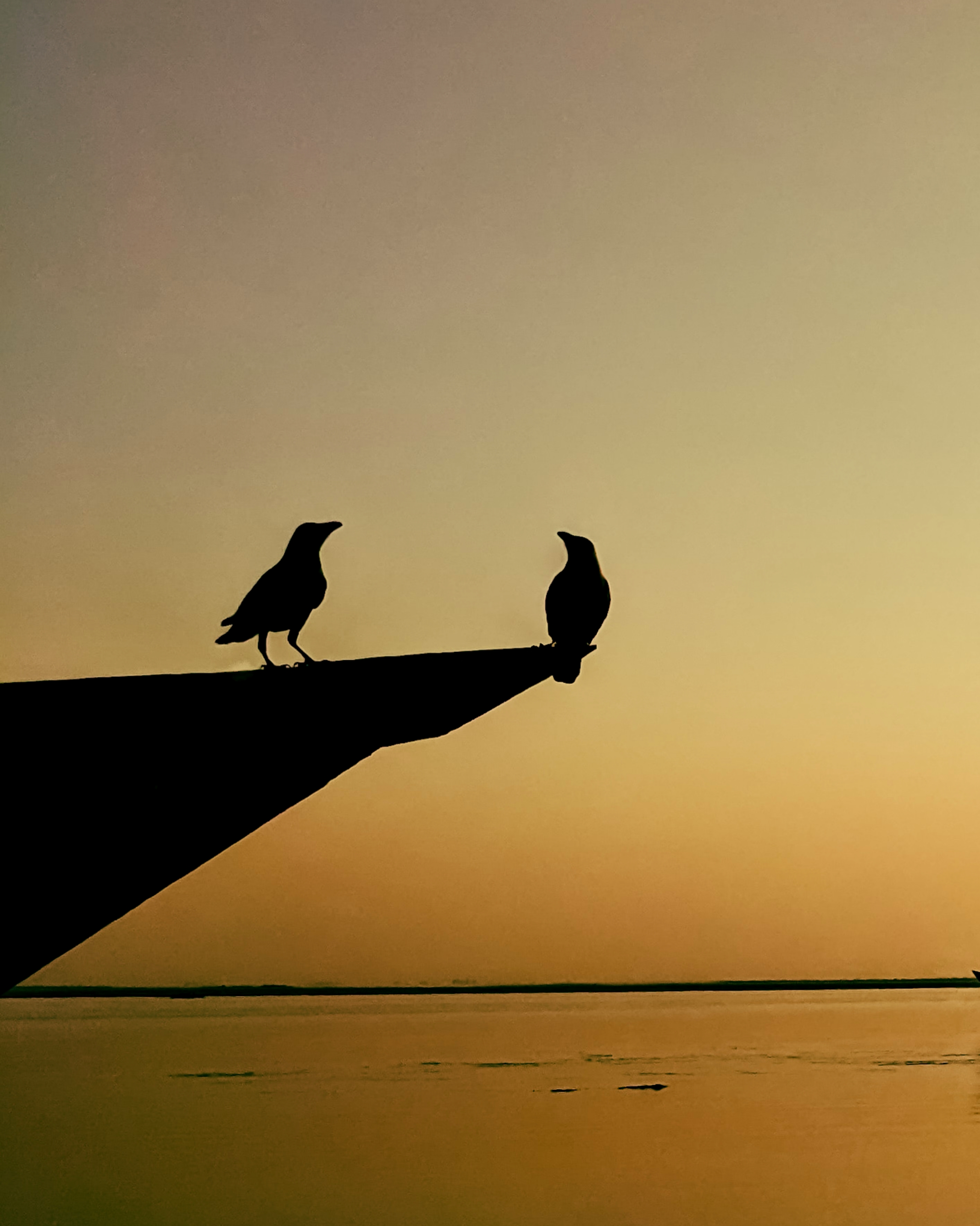Golden hour and two Bird